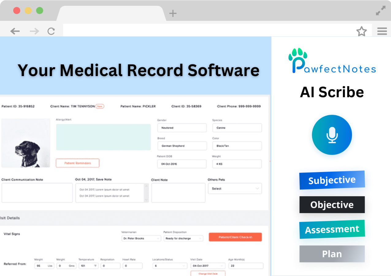 Cloud EMR Companion software interface